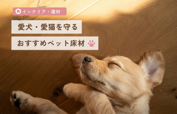 【保存必須】愛犬・愛猫を守る!最新のおすすめペット用床材。