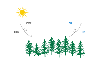 CO2削減